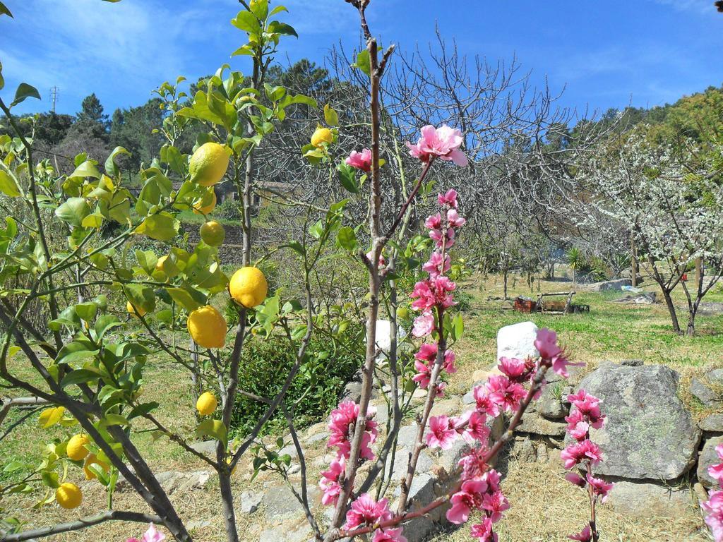 Quinta Do Tempo Turismo Rural Моншики Номер фото