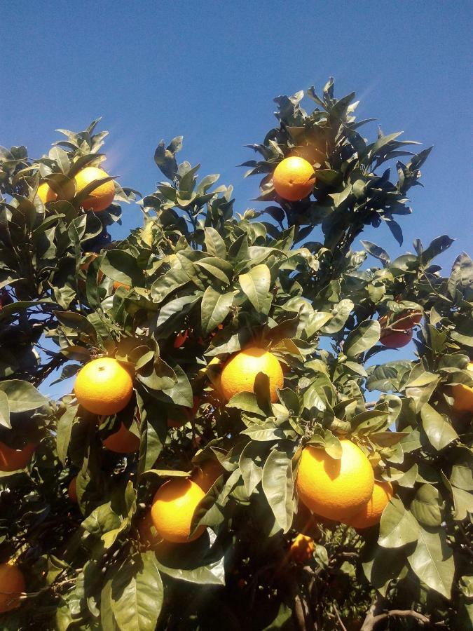 Quinta Do Tempo Turismo Rural Моншики Экстерьер фото
